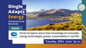Read more about the article Dingle Adapts Energy
